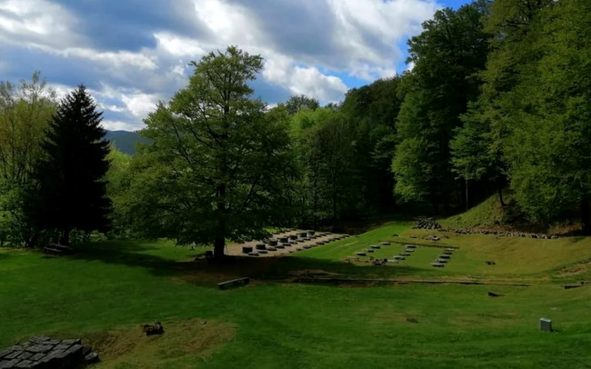 sarmizgetusa regia