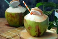 cocos istock jpg