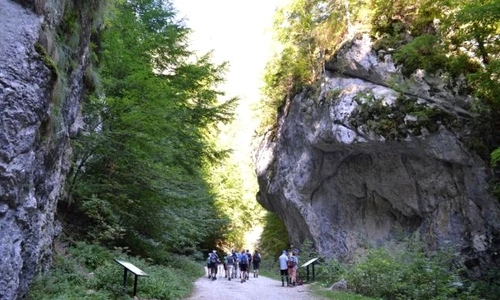 1 68109 original jpg jpeg