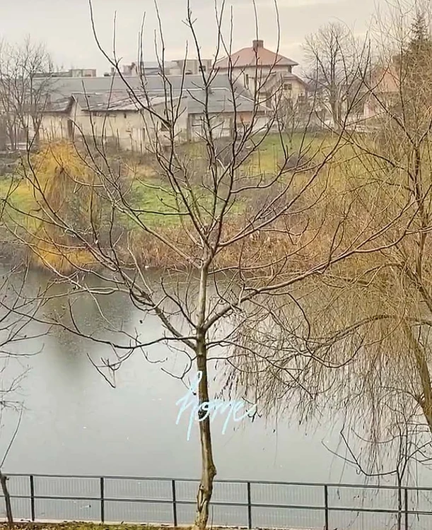 Iată ce privelişte are Antonia din livingul casei!