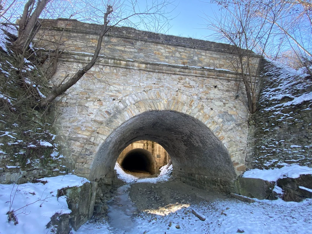 Podul lui Ștefan cel Mare FOTO Ambulanta pentru Monumente jpg