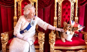 Regina Elisabeta a II-a a primit un nou căţeluş din rasa Corgi
