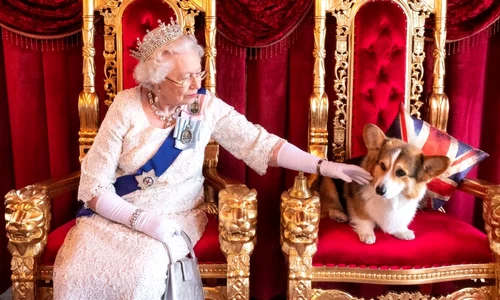 Regina Elisabeta a II-a a primit un nou căţeluş din rasa Corgi
