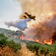 incendiu grecia scaled 1 1068x712 jpg