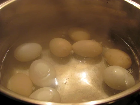 calarasi oua