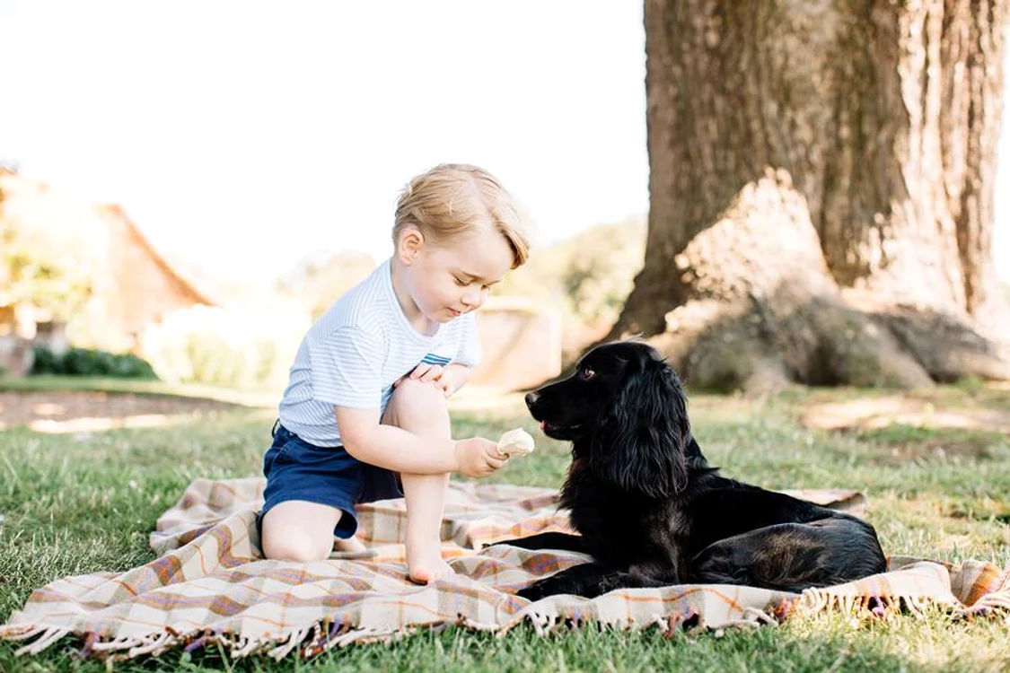 
    Prințul George, într-o fotografie oficială, eliberată de Palatul Buckinghamfoto: The Royal Family  