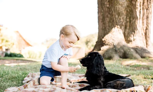 13726621 1176563742365454 7805813294616084915 n jpeg