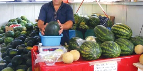Pepenii de Dăbuleni sunt din Grecia!