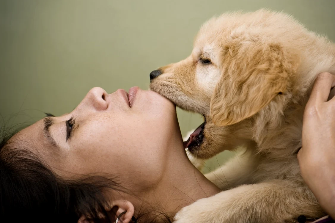 Dacă ai grijă de câinele tău, sărutul lui e chiar mai puţin periculos pentru tine decât sărutul unui alt om FOTO Shutterstock