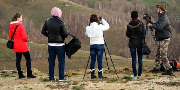 scoala de foto