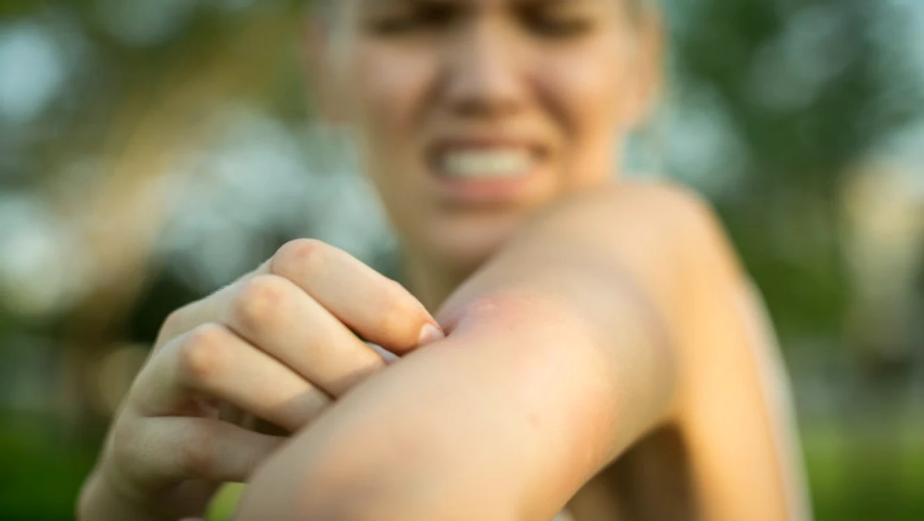 La spitalul din Suceava sunt internați doi pacienți infectați cu West Nile. Sursa foto: arhivă