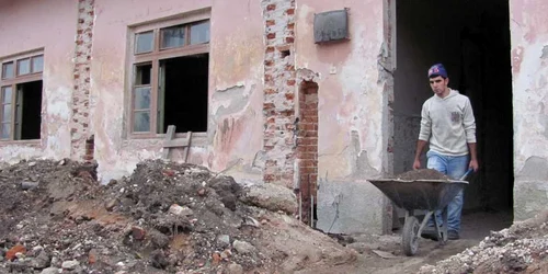Mucitorii lucrează de zor la noile construcţii