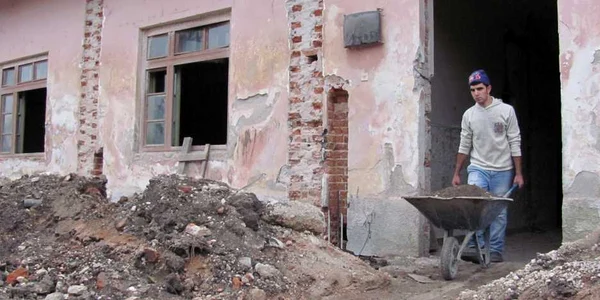 Mucitorii lucrează de zor la noile construcţii