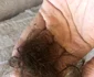 Mucegaiul din casă, un real pericol  Ce a păţit o femeie jpeg