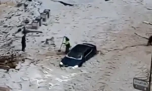 TURCIA GRINDINA X jpg