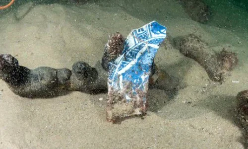 «Descoperirea secolului» în apele Atlanticului jpeg