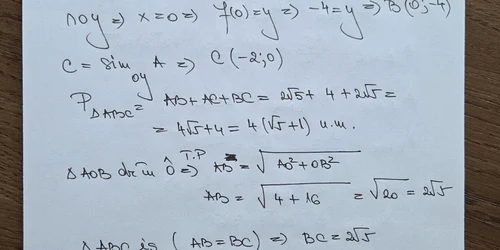 rezolvare subiecte mate evaluare nationala 2025 ADEVARUL pag 3 din 9 jpeg