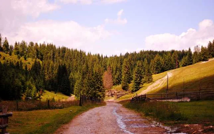 Cele mai frumoase trasee montane din Romania FOTO:Dragos Hojda