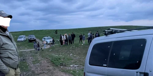 Padurari batuti parcul national lunca muresului (1) jpg