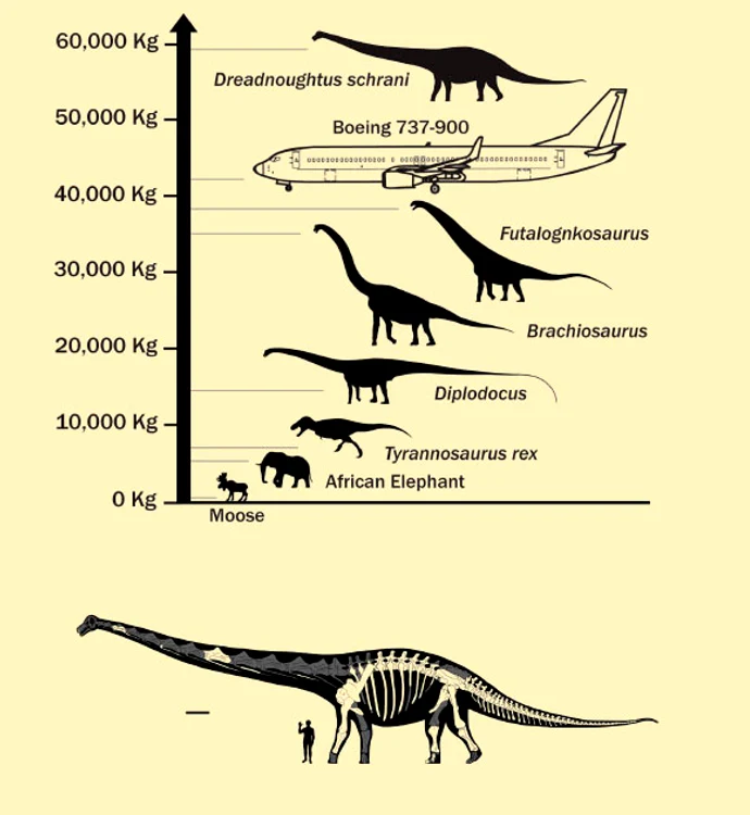 dino 0 jpg jpeg