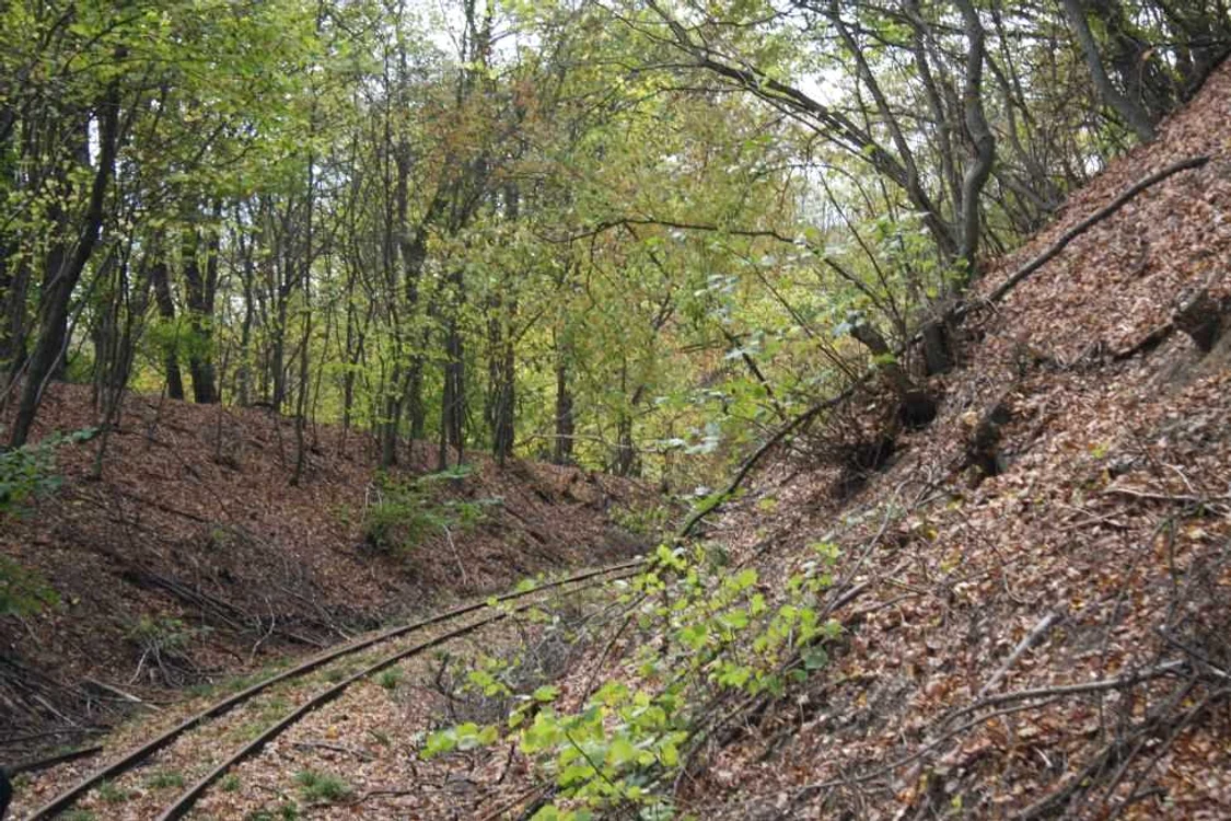mocanita transilvaniei 16