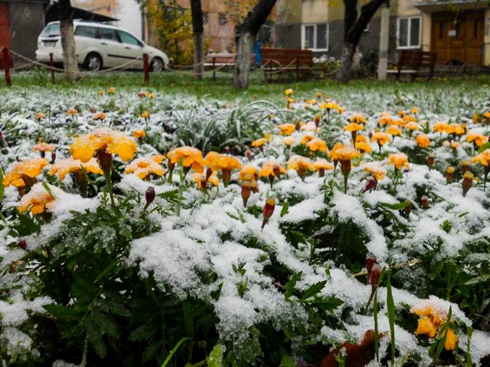 La Oraviţa au căzut primii fulgi FOTO facebook.com