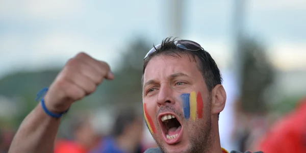 Suporteri români  înaintea partidei dintre România şi Albania FOTO Mediafax