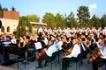 Nunta lui Viorel Cataramă cu Adina Alberts a avut loc pe domeniul milionarului de la Snagov  (captură Antena 1) jpeg