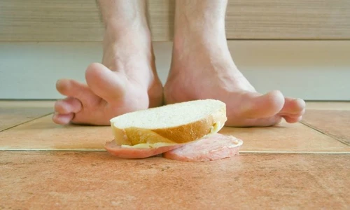 1 shutterstock 287384810 jpg jpeg