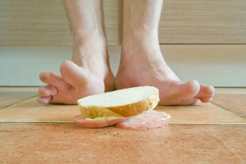 1 shutterstock 287384810 jpg jpeg