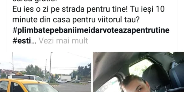 steluta