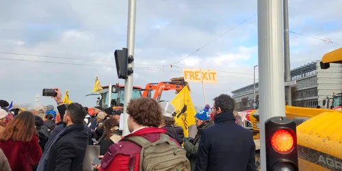 WhatsApp Image 2025 12 17 at 17 34 52 jpeg