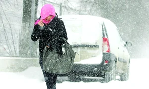 CLIIMA20100205 0125 1 jpeg