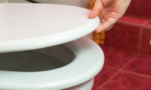 1 shutterstock 559049896 jpg jpeg