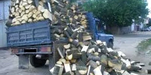 Lemnul furat a fost confiscat de polițiști