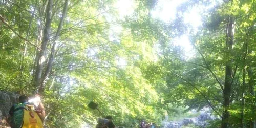 incendiu in parcul natural domogled FOTO ISU Mehedinti 