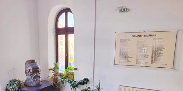 capul lui Decebal a ajuns la Starea Civila Bacău jpg