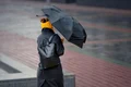 Meteo - vant - ploaie - umbrela FOTO Shutterstock