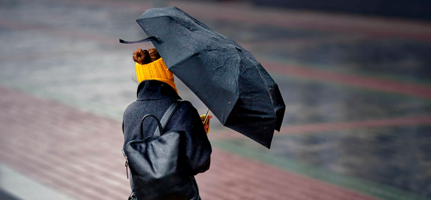 Meteo - vant - ploaie - umbrela FOTO Shutterstock