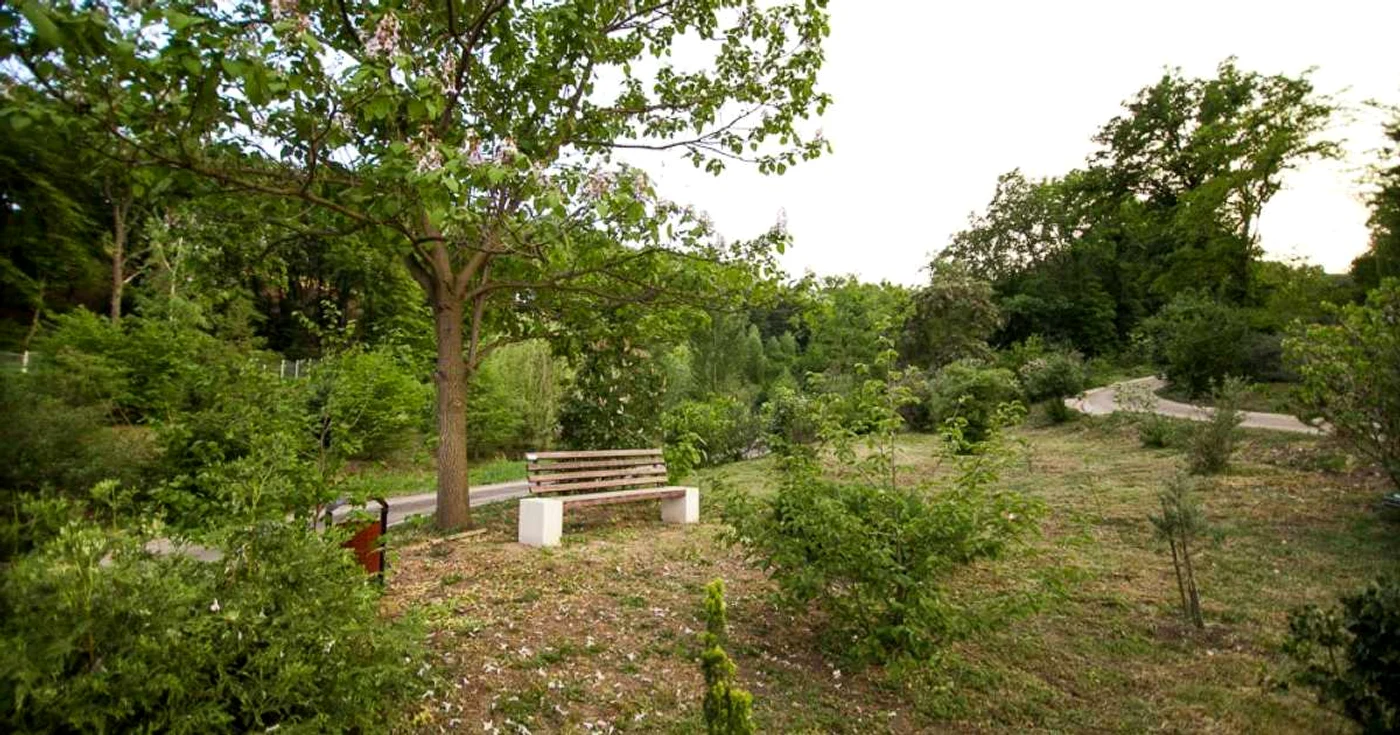 În parc au fost amenajate, alei, piste de biciclete şi bănci. Foto Romulus Oprişcan