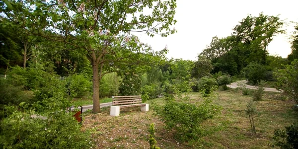 parc alba