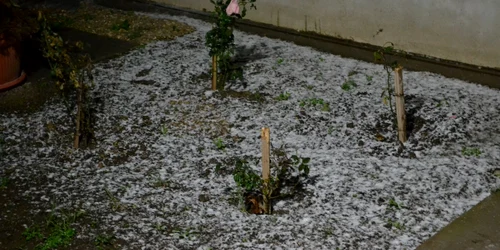 Prima Zapada la Constanta