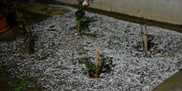 Prima Zapada la Constanta