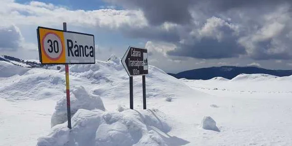Transalpina