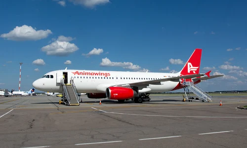 aeronava animawings jpeg