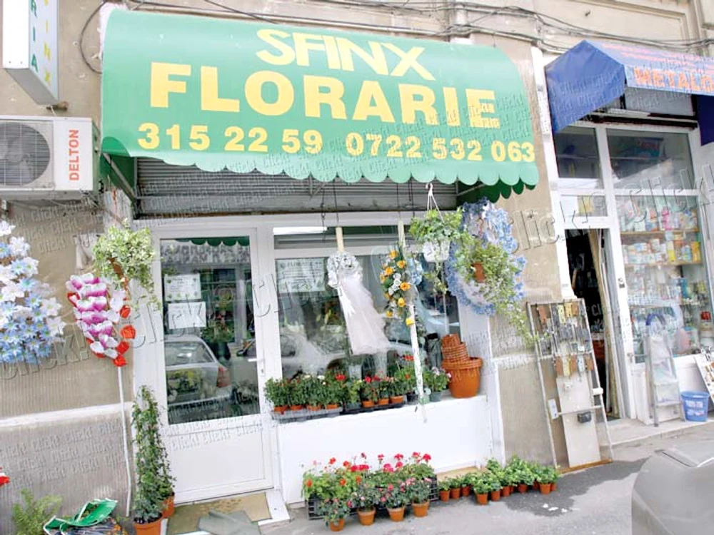 Părinţii Andreei au  o florărie în Capitală