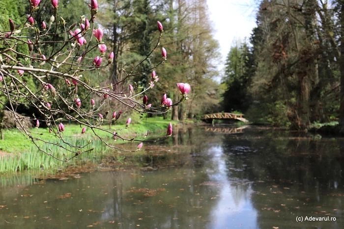 Parcul atrage numeroși turiști / foto: Daniel Guță/Adevărul