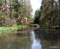 Parcul dendrologic Simeria Foto Daniel Guță ADEVĂRUL (52) JPG
