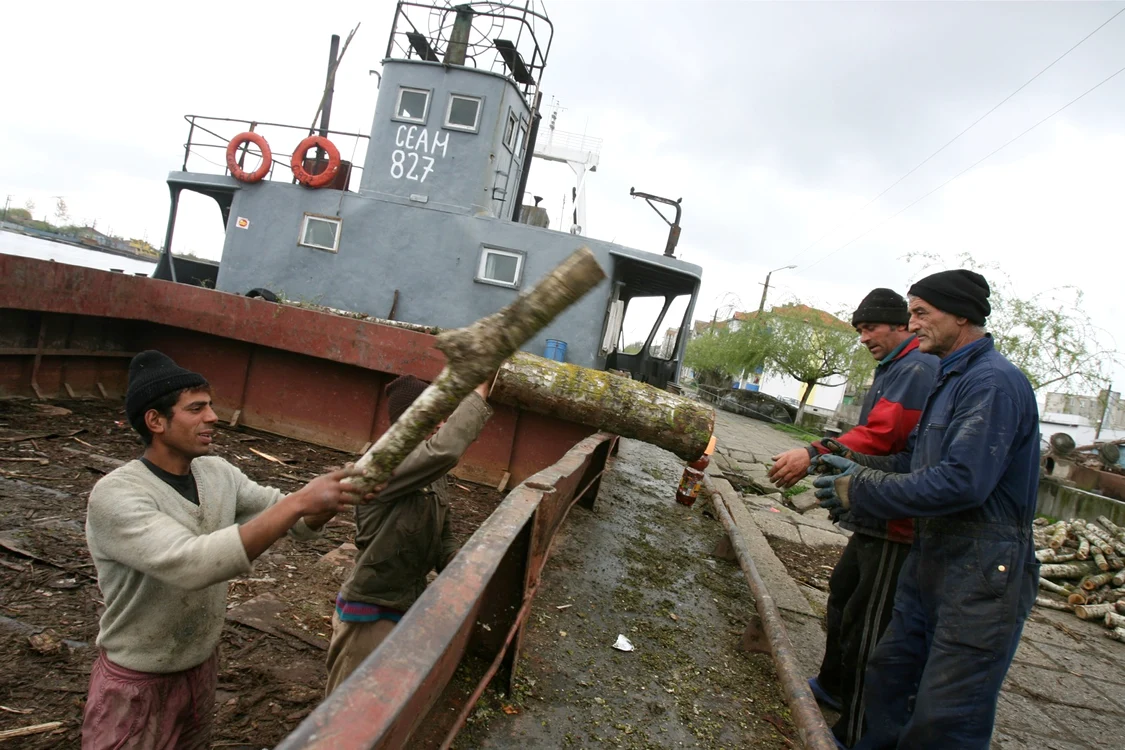 Firma avea activitate în prelucrarea lemnului Foto: Adevărul