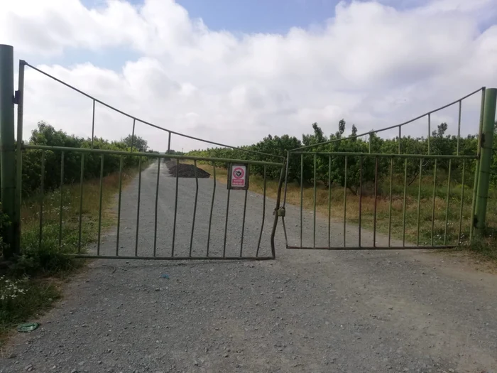 Maica stareţă Teodora(FOTO: adevarul.ro)